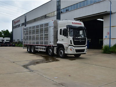 天龍生豬運輸車價格及鋁合金恒溫生豬運輸車選購指南