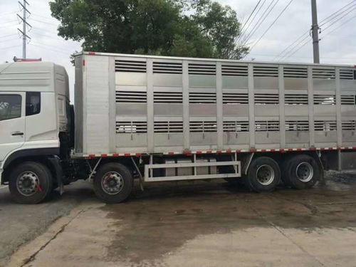 遼陽畜禽運輸車廠家——專業(yè)畜禽運輸車制造商